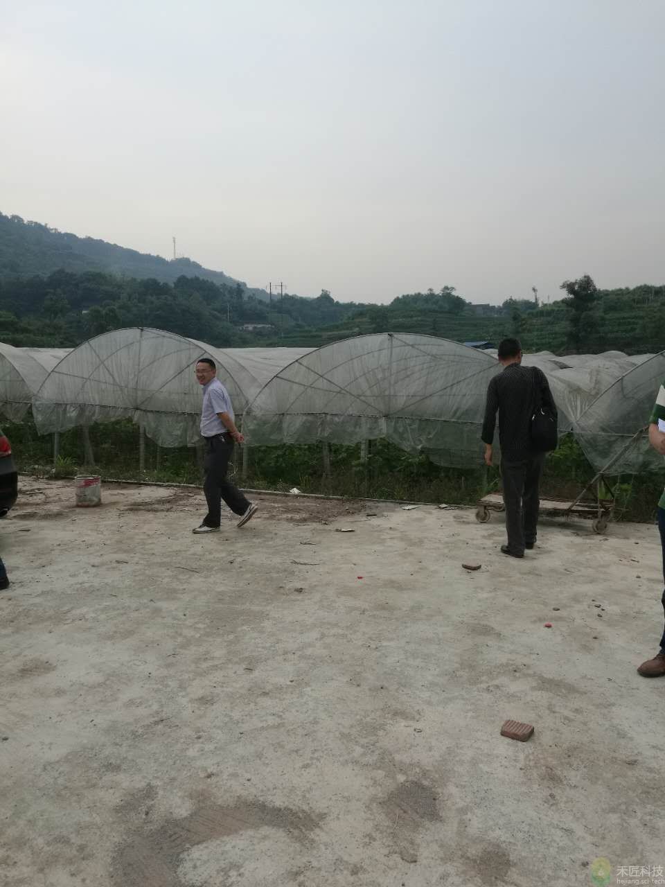 璧山豐合園葡萄基地照片（市農(nóng)技站陳松柏站長、詹科長到現(xiàn)場參觀指導(dǎo)）